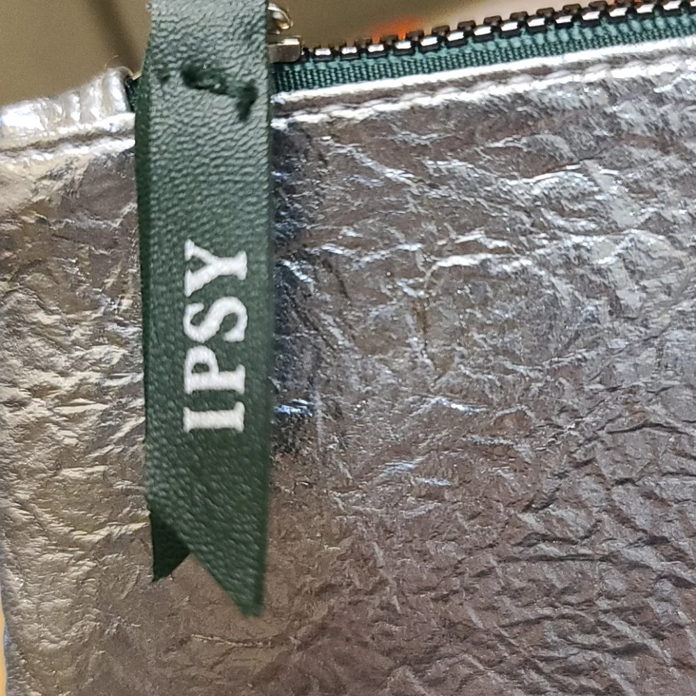 Ipsy Textured Silver Makeup Bag